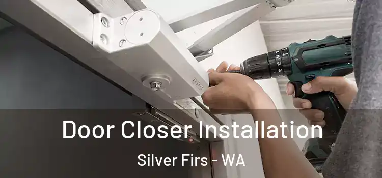 Door Closer Installation Silver Firs - WA